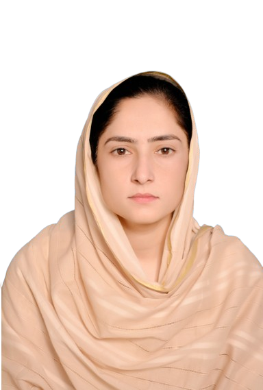 SYERA BIBI - Graphic Designer